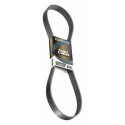 Correia trapezoidal nervurada DAYCO 5PK1050