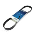 Correia trapezoidal nervurada DAYCO 5 PK 1300