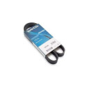 Correia trapezoidal nervurada DAYCO 6 PK 1005