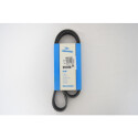 Correia trapezoidal nervurada DAYCO 6 PK 1035