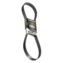 Correia trapezoidal nervurada DAYCO 6 PK 1310