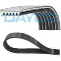Correia trapezoidal nervurada DAYCO 6 PK 1830