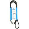 Correia trapezoidal nervurada DAYCO 6PK1842