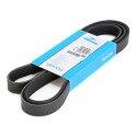 Correia trapezoidal nervurada DAYCO 6 PK 1873