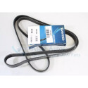 Correia trapezoidal nervurada DAYCO 6 PK 1880