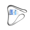 Correia trapezoidal nervurada DAYCO 6 PK 1900