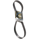 Correia trapezoidal DAYCO 6 PK 1980