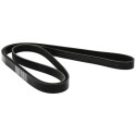 Correia trapezoidal nervurada DAYCO 6 PK 2050