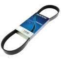Correia trapezoidal nervurada DAYCO 6 PK 2080
