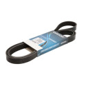 Correia trapezoidal nervurada DAYCO 6PK2195