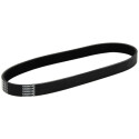 Correia trapezoidal nervurada DAYCO 6 PK 698