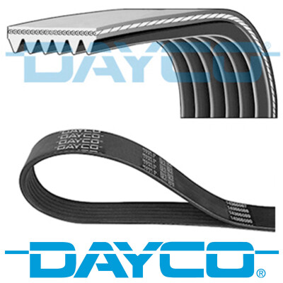Correia trapezoidal nervurada DAYCO 6 PK 800