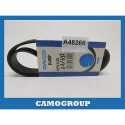 Correia nervurada DAYCO 6PK838