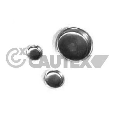 Plugue de expansão METALCAUCHO 2544