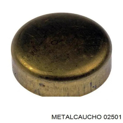 Plugue de expansão METALCAUCHO 2501