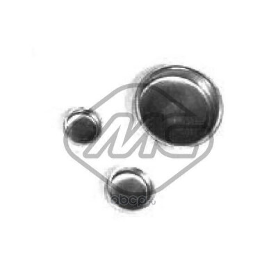 Plugue de expansão METALCAUCHO 2510