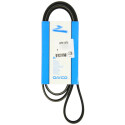 Correia trapezoidal nervurada DAYCO 6 PK 1570