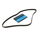 Correia nervurada DAYCO 4PK588