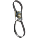 Correia trapezoidal nervurada DAYCO 6PK2310