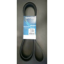 Correia trapezoidal nervurada DAYCO 6 PK 2550