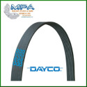 Correia nervurada DAYCO 4PK 855 V