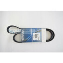Correia trapezoidal nervurada DAYCO 6PK1225