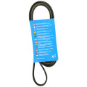 Correia trapezoidal nervurada DAYCO 6 PK 1590