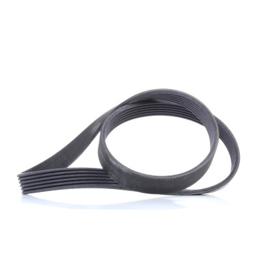 Correia em V de poliéster ContiTech 6PK1019 ELAST