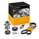 Conjunto de correias dentadas ContiTech CT1115K1