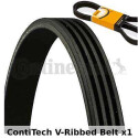 Correia V-poli V ContiTech 4 PK 775