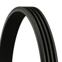 Correia V-poli V ContiTech 4 PK 785