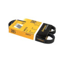Correia trapezoidal ContiTech 4PK 815 Poly V