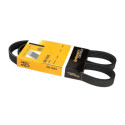 Correia V-poli V ContiTech 5 PK 1005