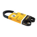Correia Poly V ContiTech 5 PK 1030