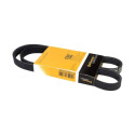 Correia V-poli V ContiTech 5 PK 1120