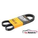 Correia V-poli V ContiTech 5 PK 1145