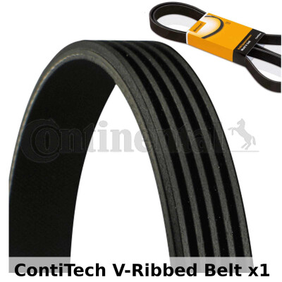 Correia V-poli V ContiTech 5 PK 1155