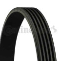 Correia Poly V ContiTech 5 PK 1173