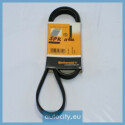 Correia V-poli V ContiTech 5 PK 1180
