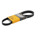 Correia trapezoidal ContiTech V-poly 5PK1212