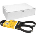 Correia V-poli V ContiTech 5 PK 1240