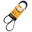 Correia V-poli V ContiTech 5 PK 1300