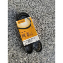 Correia V-poli V ContiTech 5 PK 985