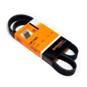 Correia V-poli V ContiTech 6 PK 1000