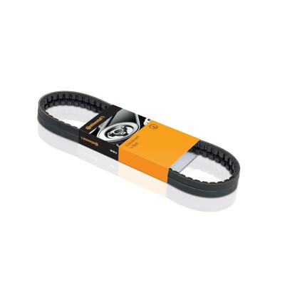 Correia V-poli V ContiTech 6 PK 1015