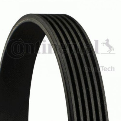 Correia V-poli V ContiTech 6 PK 1075