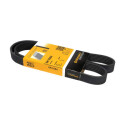 Correia V ContiTech 6PK1084 Poly V