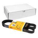 Correia V-poli V ContiTech 6 PK 1110