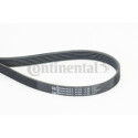 Correia V-poli V ContiTech 6 PK 1130