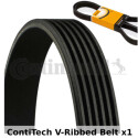 Correia V-poli V ContiTech 6 PK 1138
